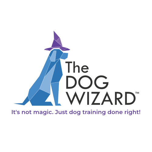 The Dog Wizard