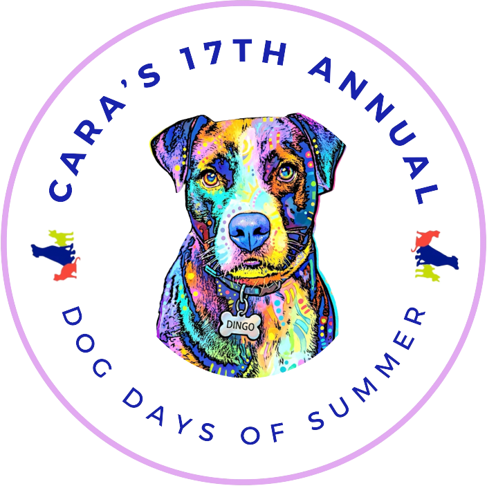 Cara's 17th Annual Dog Days of Summer logo featuring Dingo